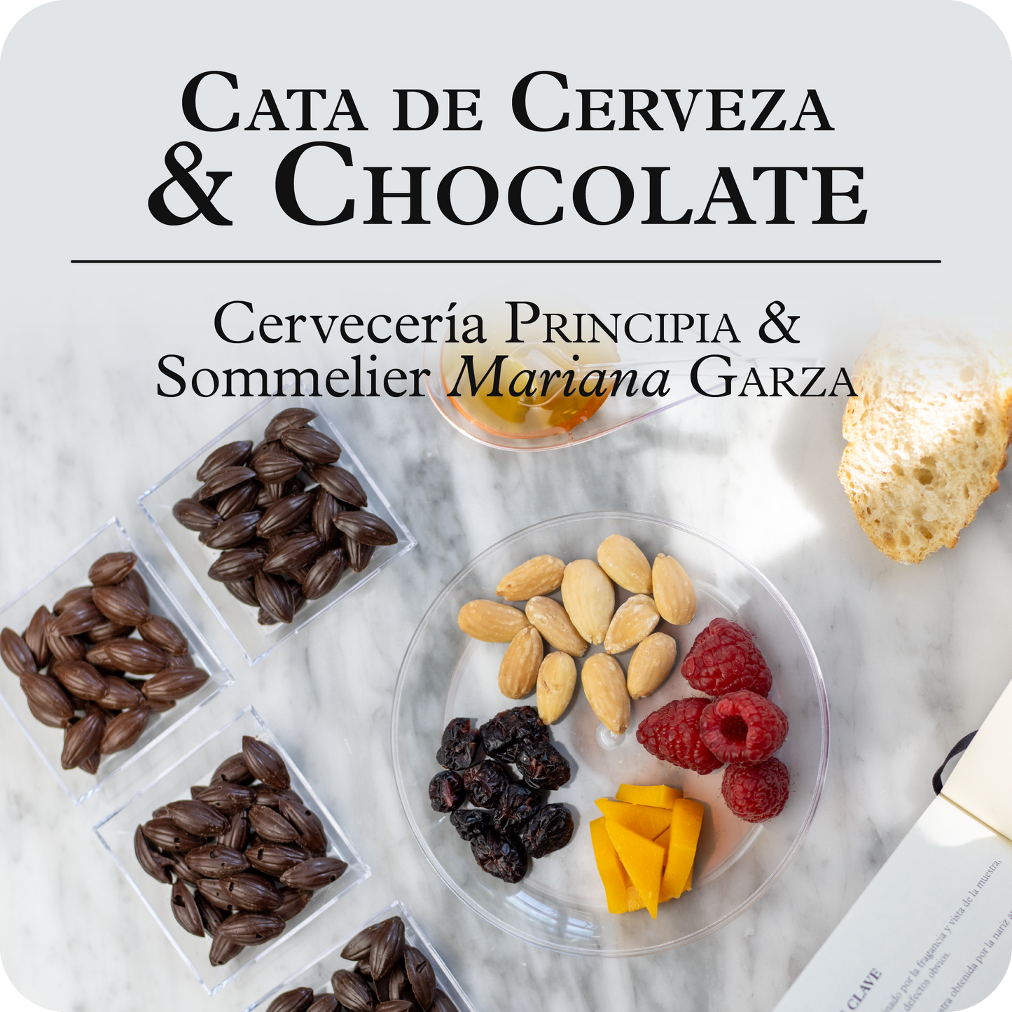 Cata de Cerveza & Chocolate