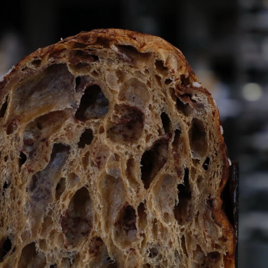 Masa Madre & Panettone