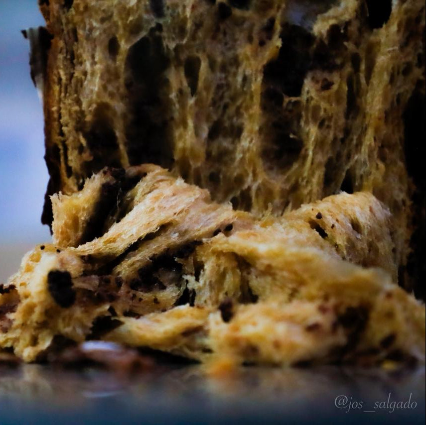 Masa Madre & Panettone