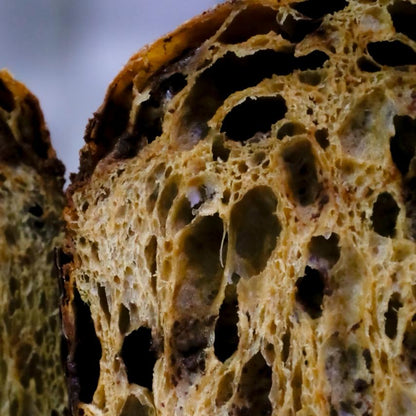 Masa Madre & Panettone