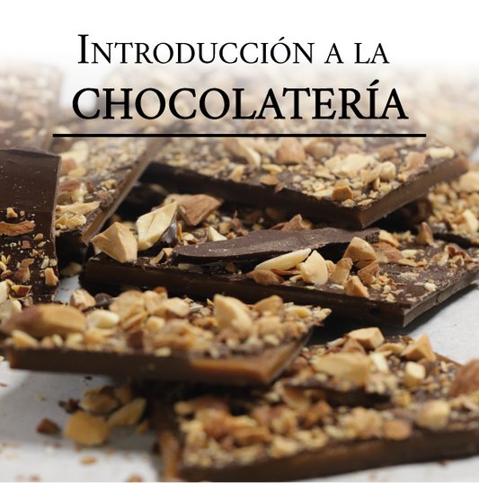 Introducción a la Chocolatería