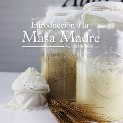 Introducción a la Masa Madre