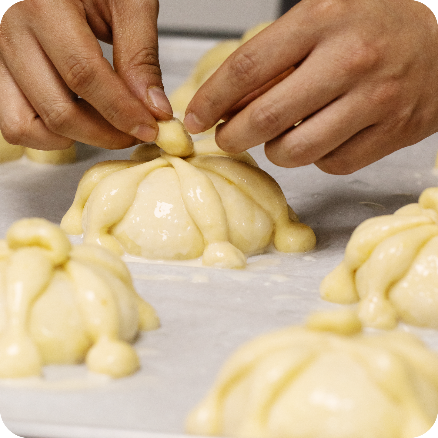 Pan de Muerto y Sus Variedades