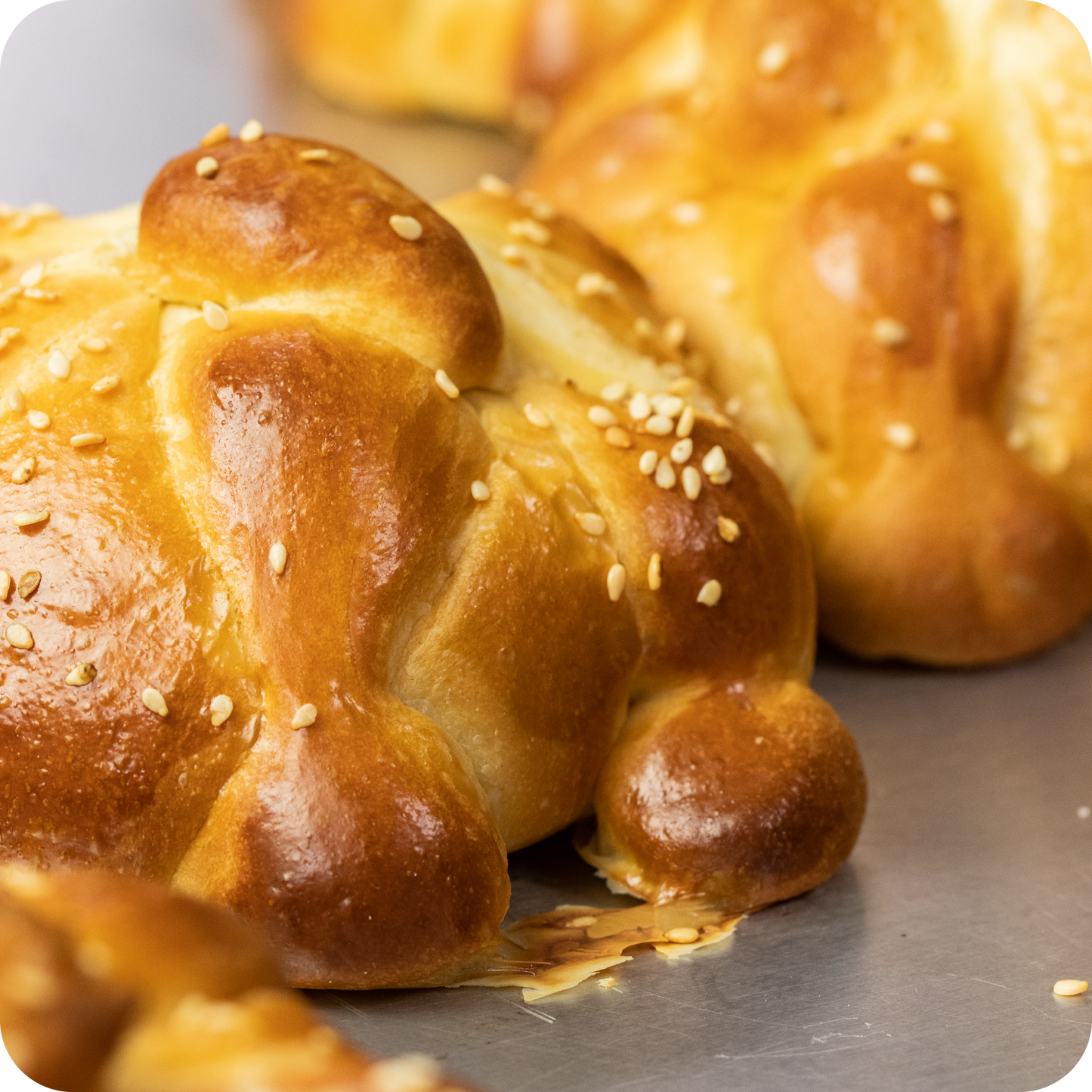 Pan de Muerto y Sus Variedades